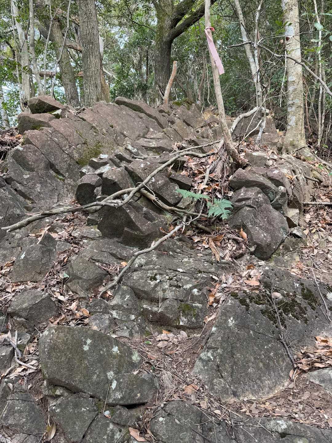 時々岩場あり。
