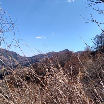 中央の△が道坂隧道ルートの岩下の丸。H1303．6m