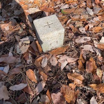 四等三角点193mです