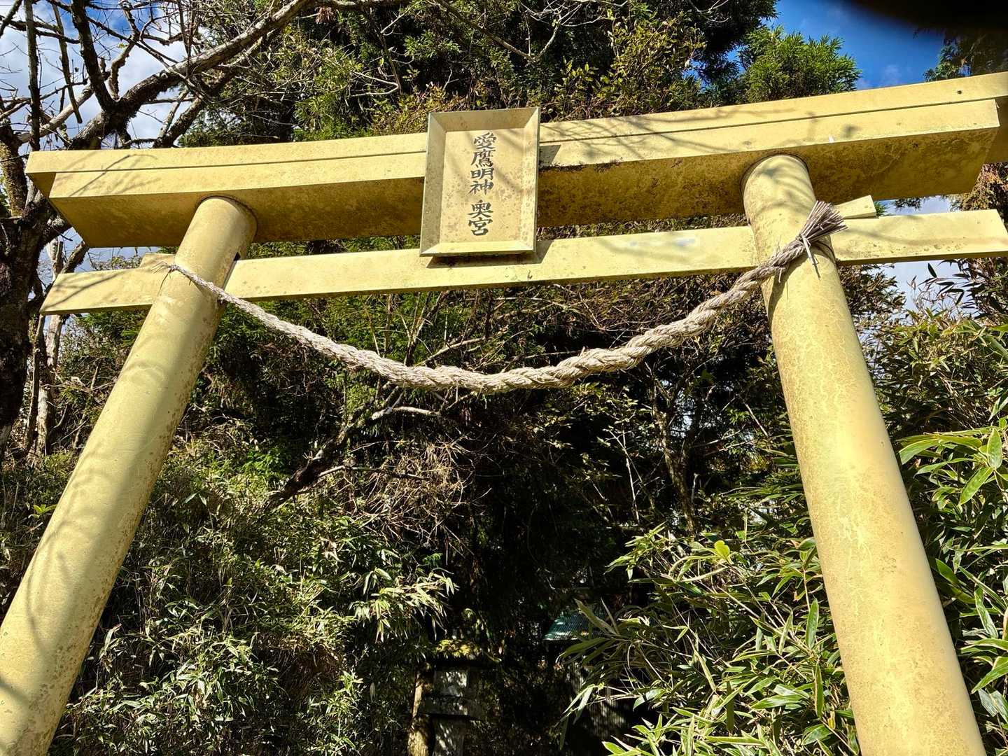 愛鷹明神( ˘ᵕ˘ )