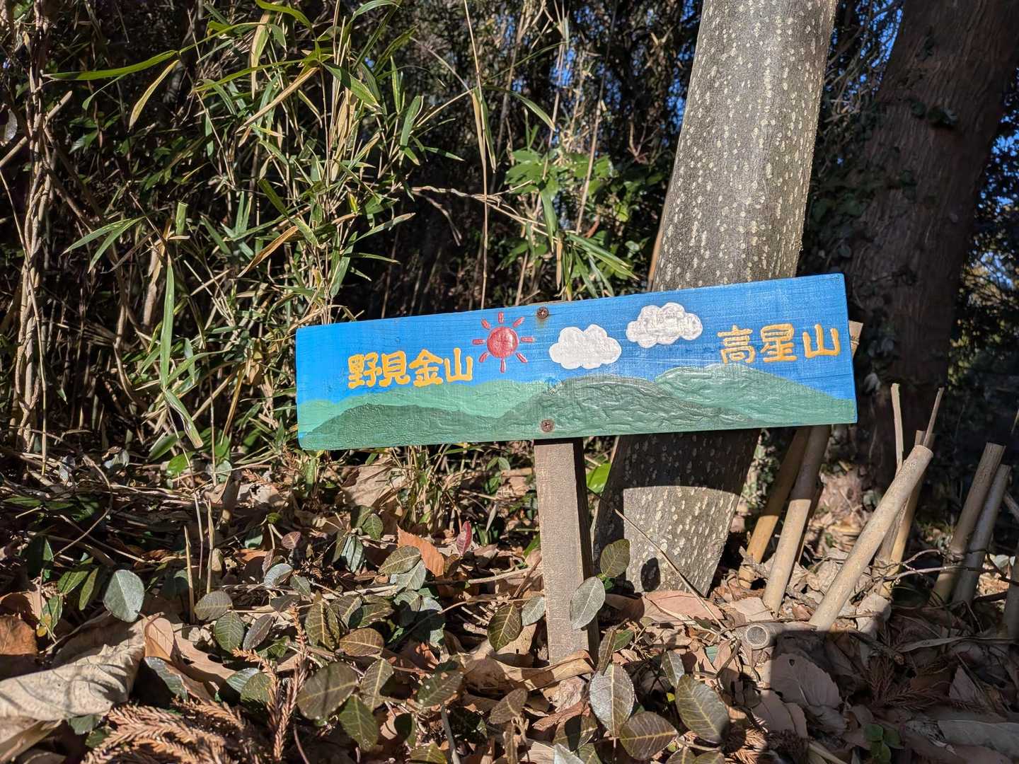 高星山までは行けなかったー