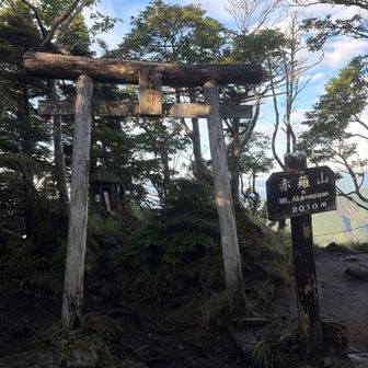 赤薙山到着。傾斜的な急登は赤薙山手前が一番かもだが、あまり一歩一歩の段差が高くない道が続くので、辛さはさほどでない
