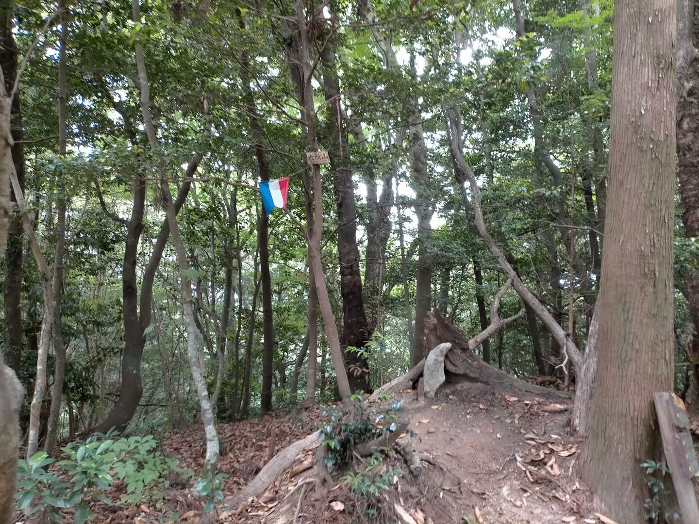 六所山の写真