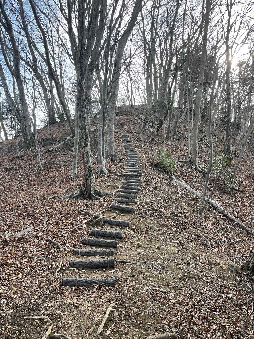 高取山 往復コースの写真