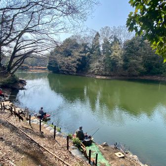 震生湖で釣りに興じるご老人たち