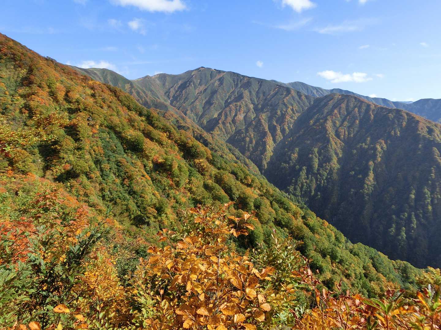 南東の景色