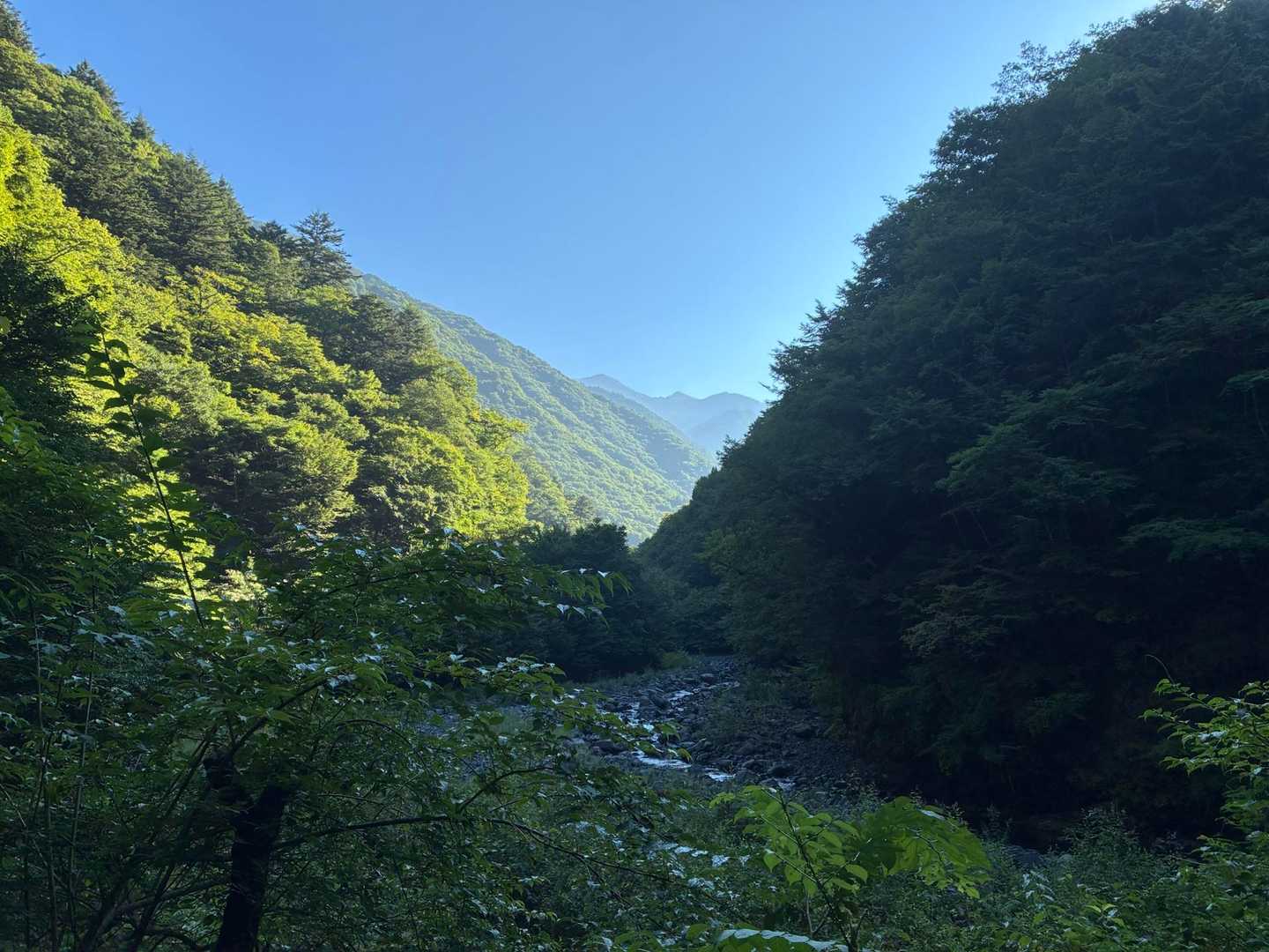長い林道
遠山川沿いに歩いています