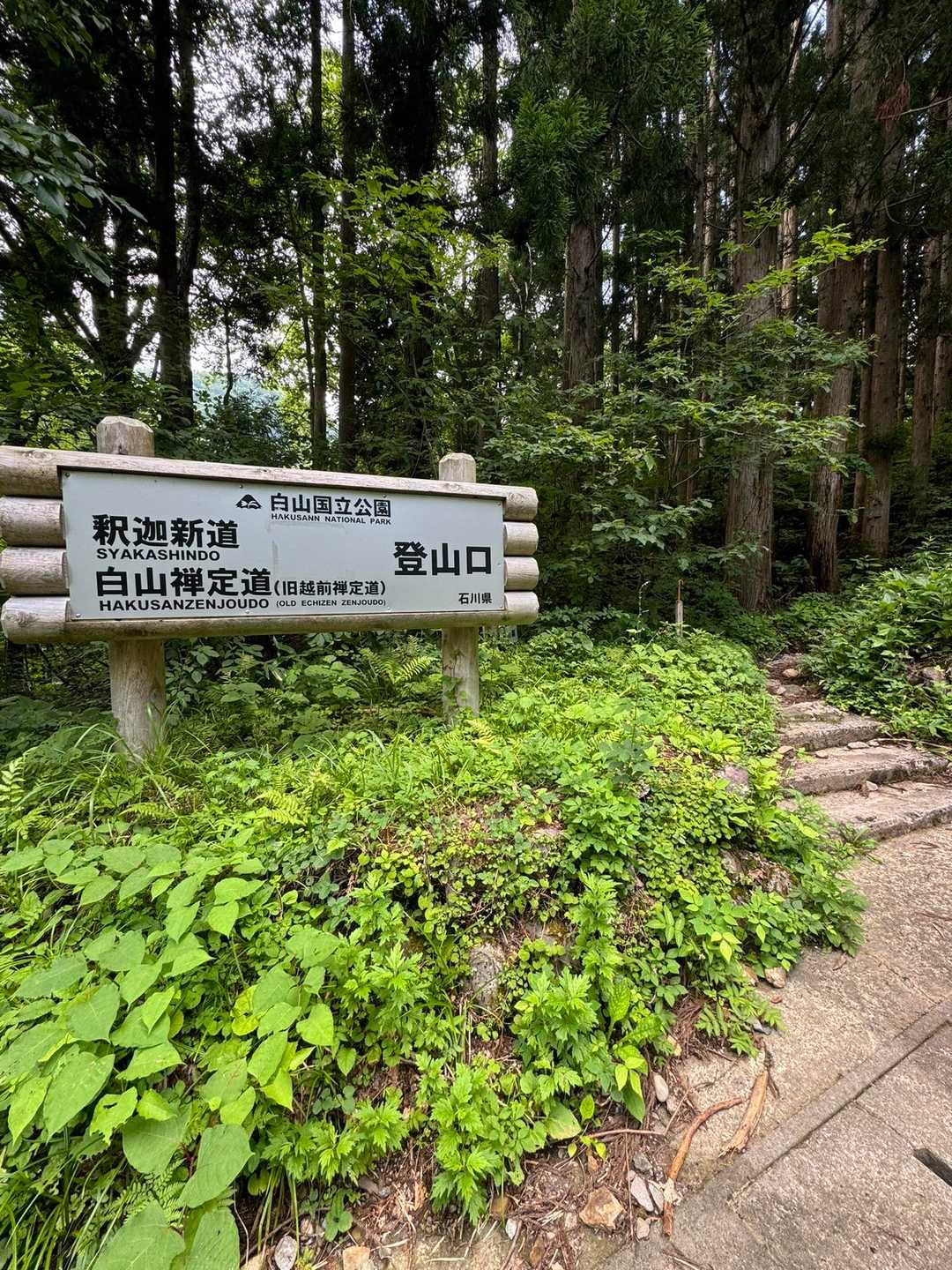 ここも行きたいのですよ🥺