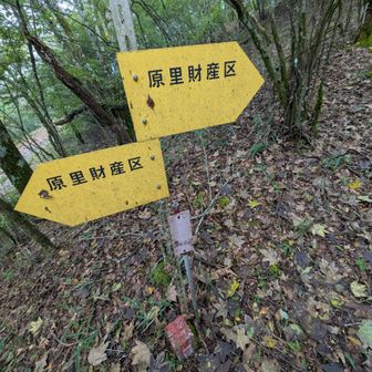 斜面を少し登るとこの看板が。