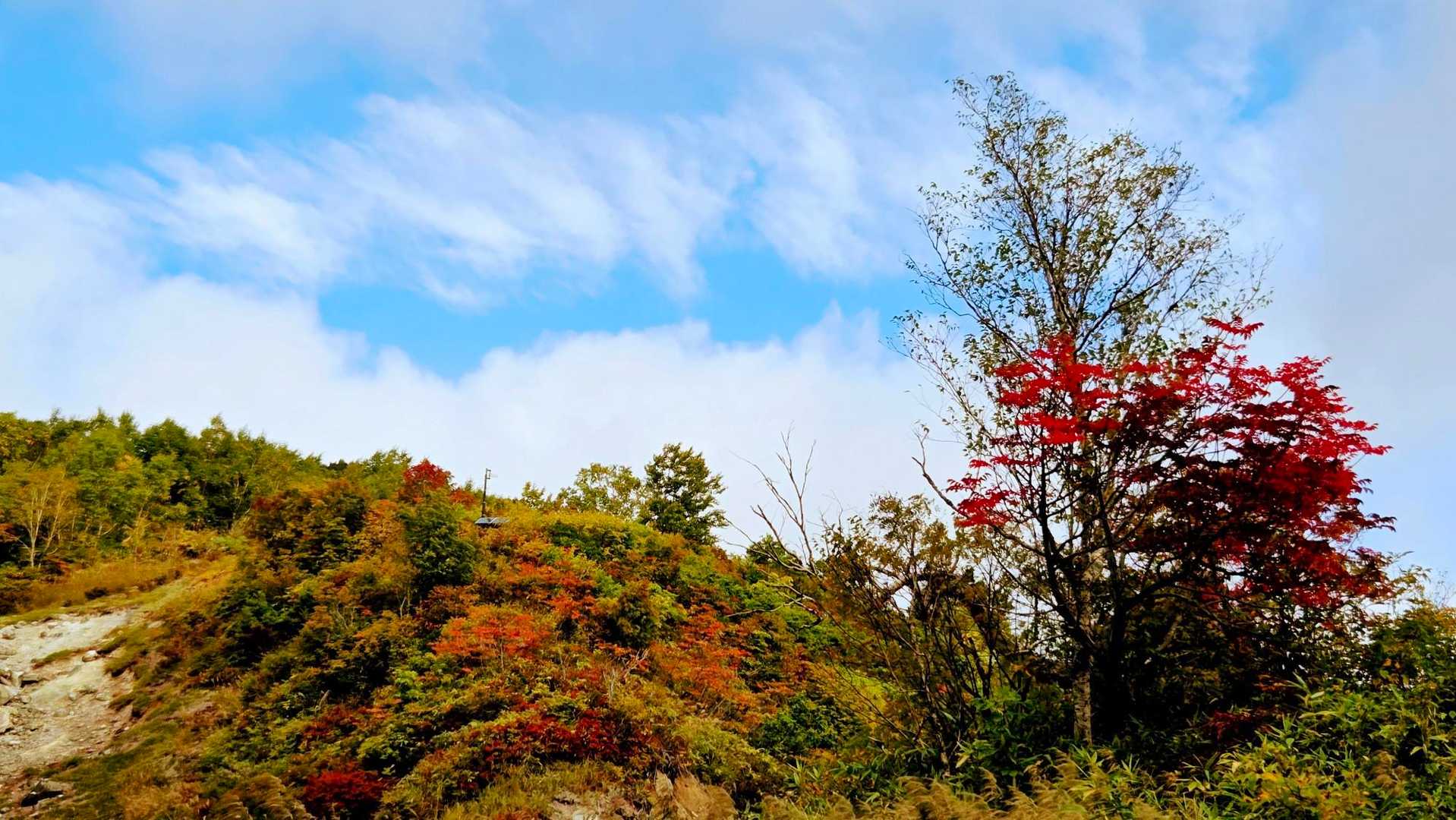 紅葉が始まってる