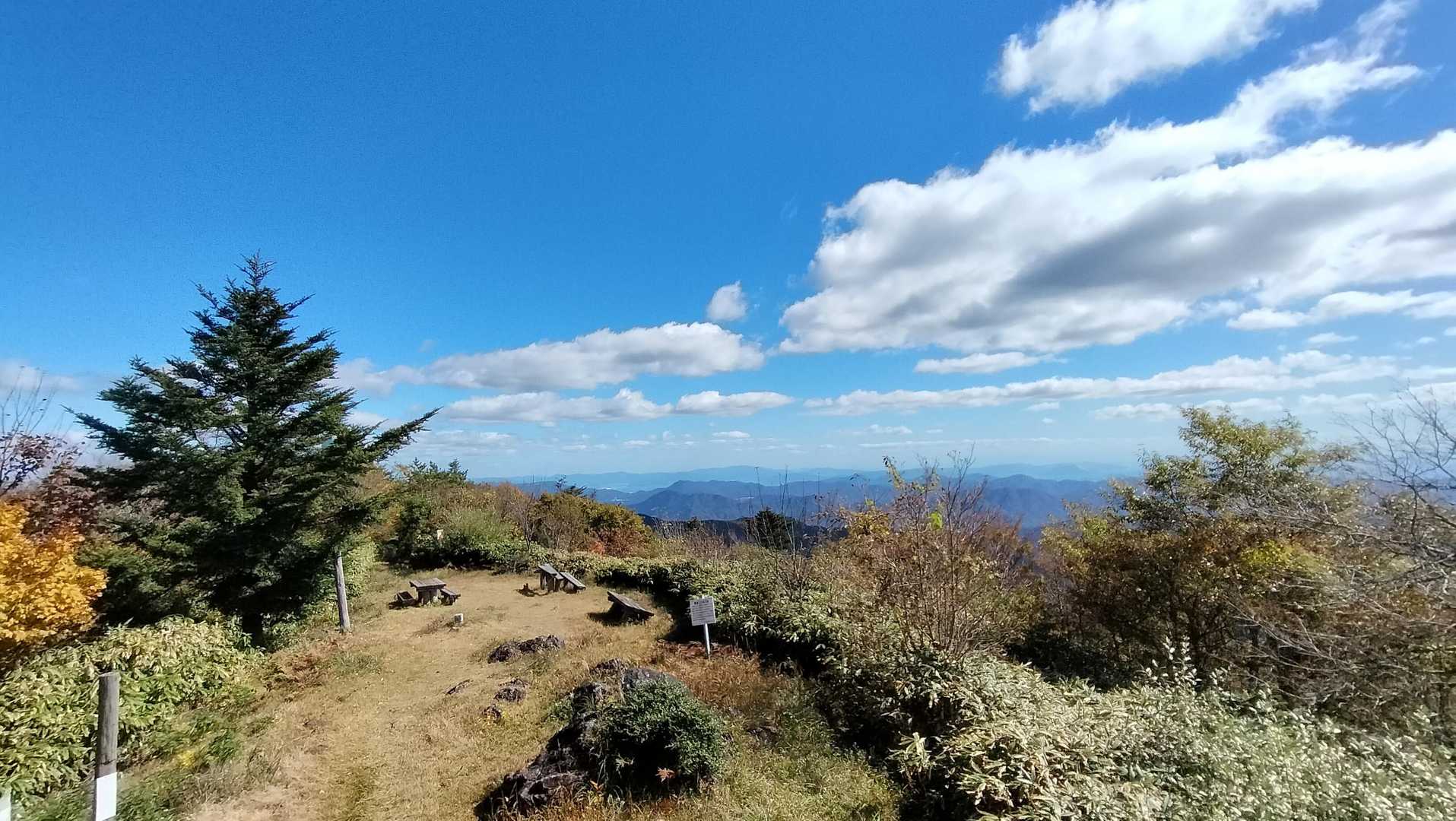 櫓から眺望