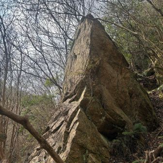 イタリアンリッジ見つけた