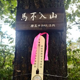 馬不入山🐴