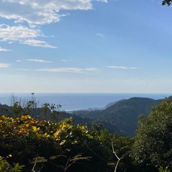 ここは素晴らしい眺め　
太平洋も綺麗に見えた