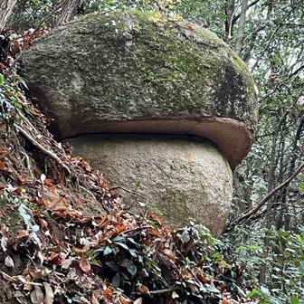 横顔も良い👍この後無事下山。ありがとうございました。