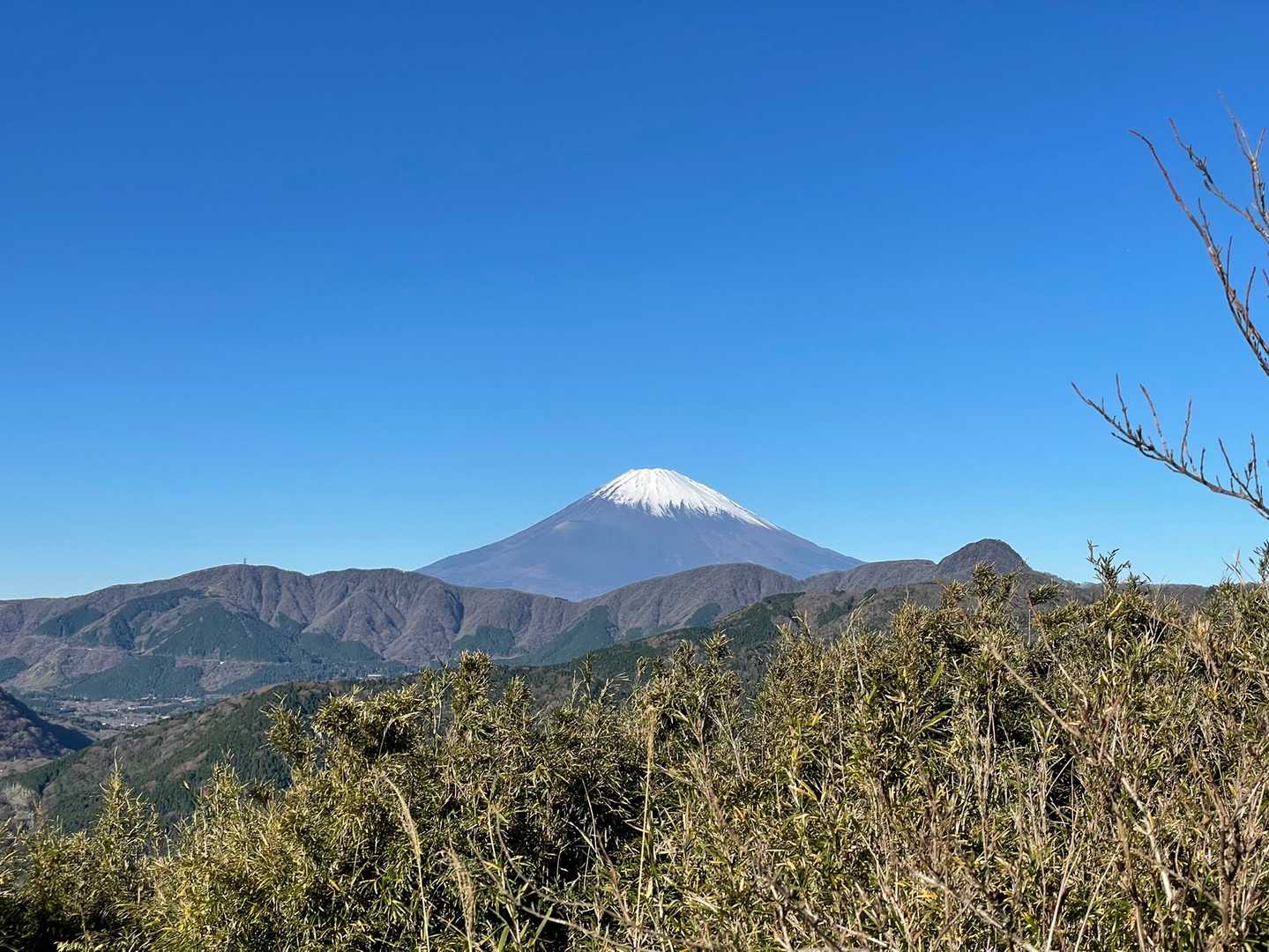 明星ヶ岳 往復コースの写真