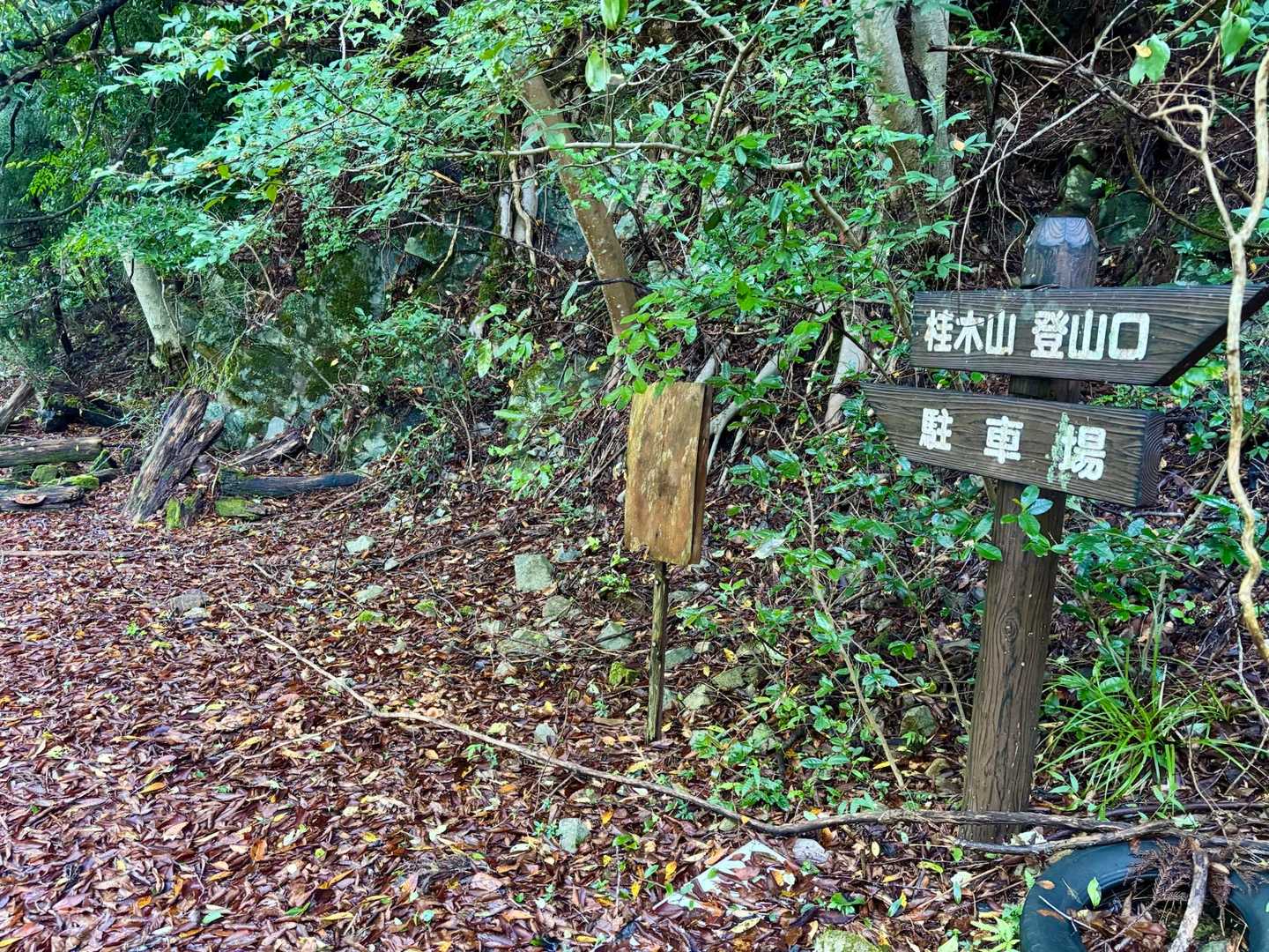 遊歩道抜け、キャンプ場過ぎて
ここにも駐車できるらしい