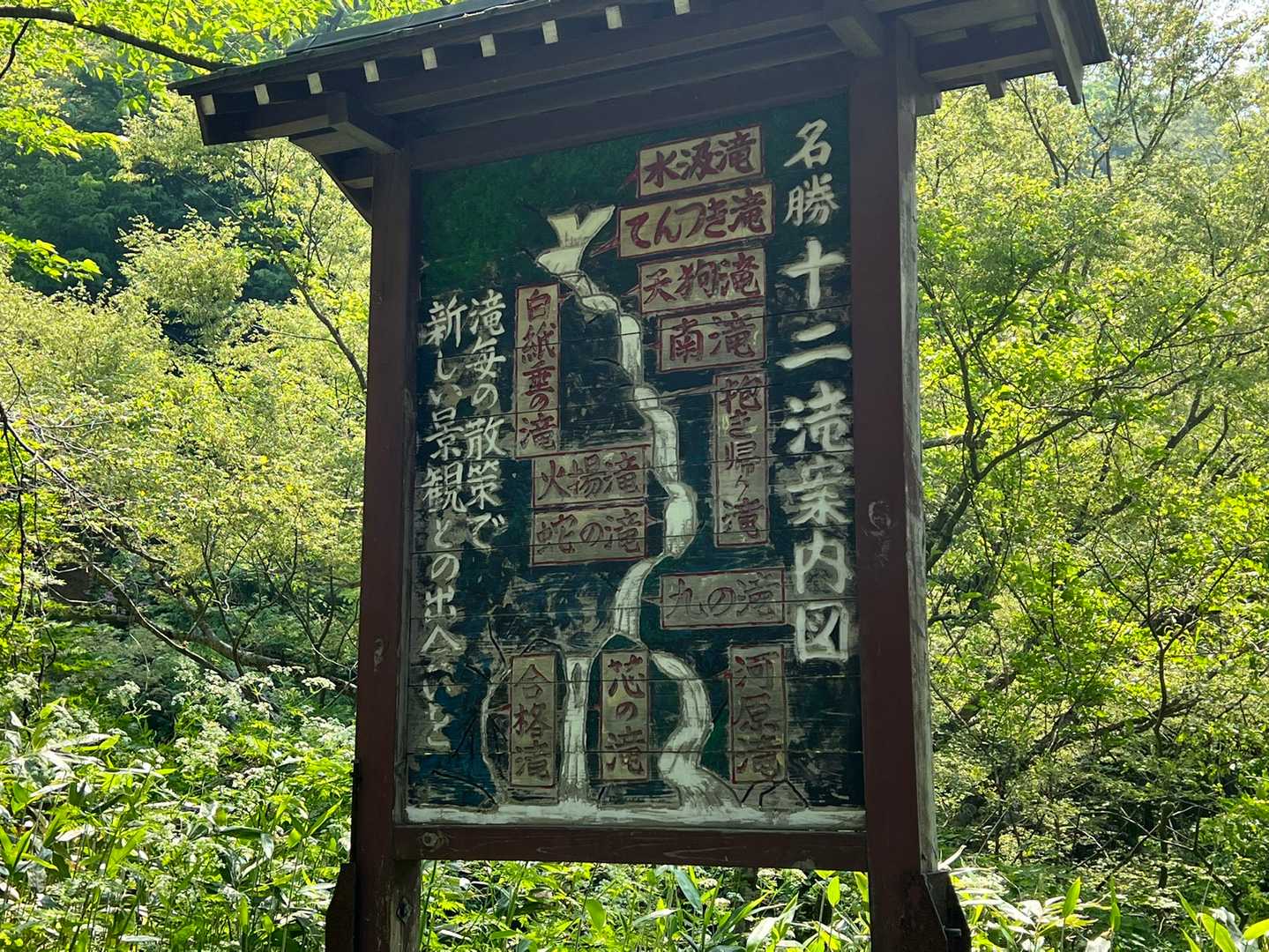 経ヶ蔵山 往復コースの写真