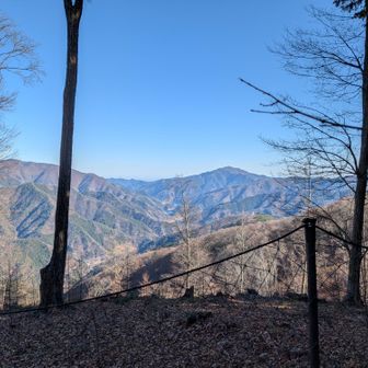 伐採されているので眺望はありますね!!