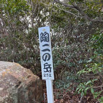 どうなのか⁉️
今度は数字入ってる「252」