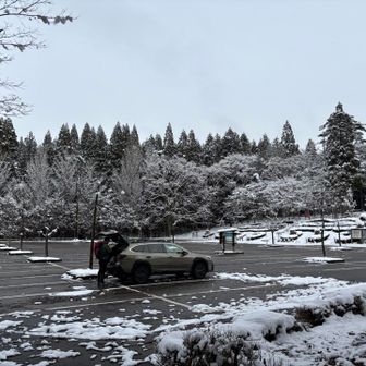 戻って来ましたが、やっぱ誰〜れもおらん😑
来た時より、雪解けてます👀
ほんとに大寒波来るんかい🤔

帰って気付きました😱車の上に乗っけたテムレス🧤忘れてそのまま出発🚙💨😭
拾った人、トイレの前にでも置いといて下さい😅