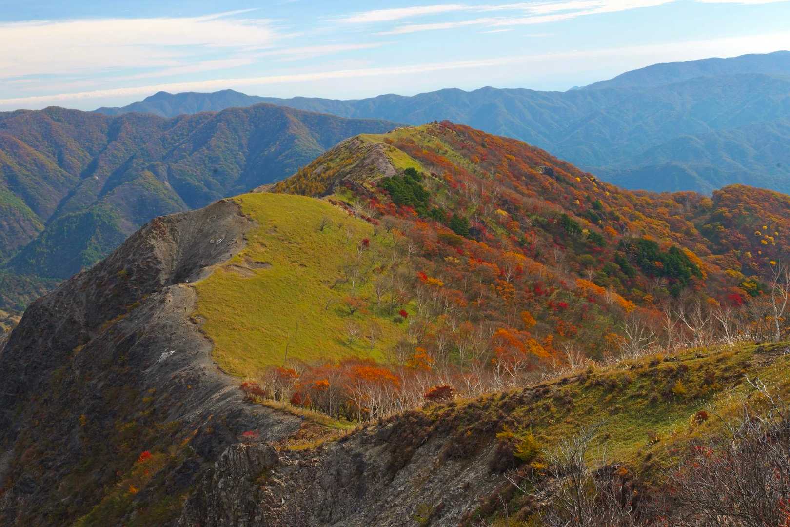 銅親水公園-中倉山 往復コースの写真