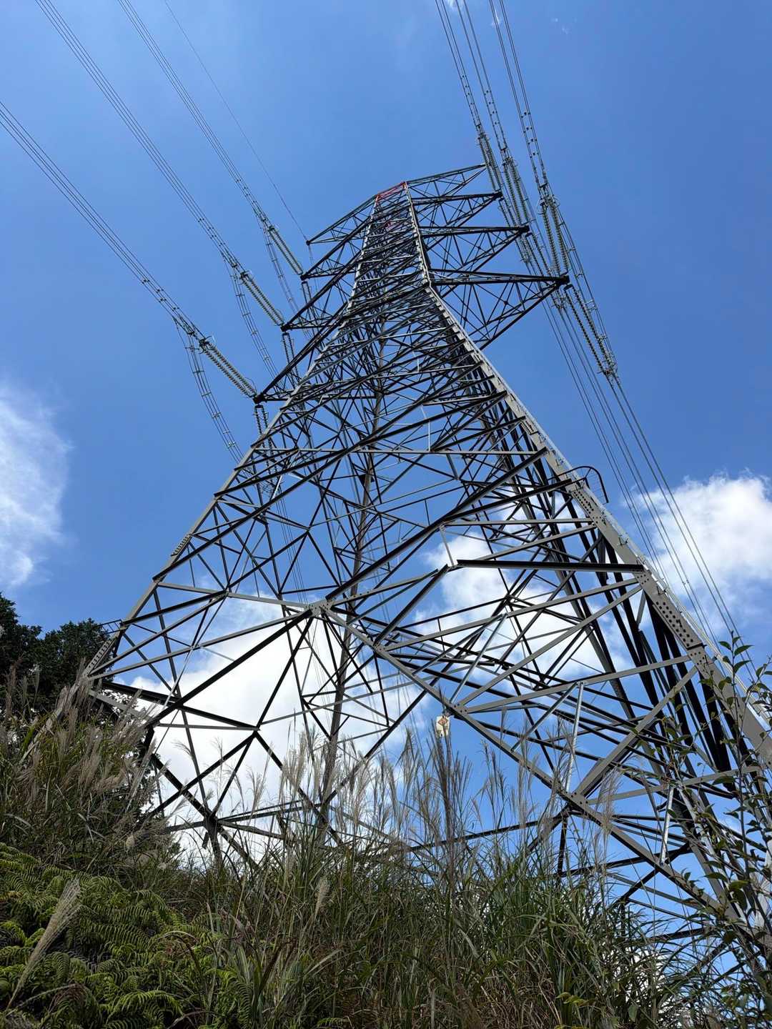 菩提山 往復コースの写真