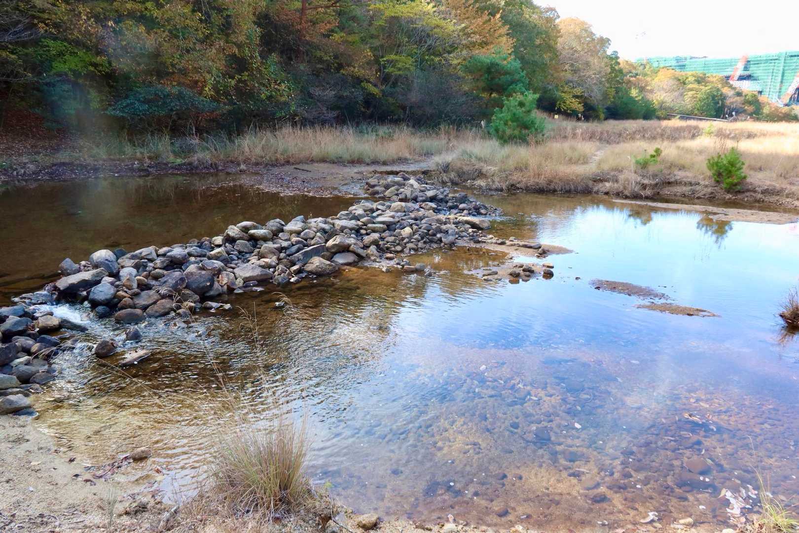 以前は大きめの飛び石みたいな感じで
水の多いときは渡るのが大変でした
いつの間にかダムみたいになってる😳
４年は長かったね💦
