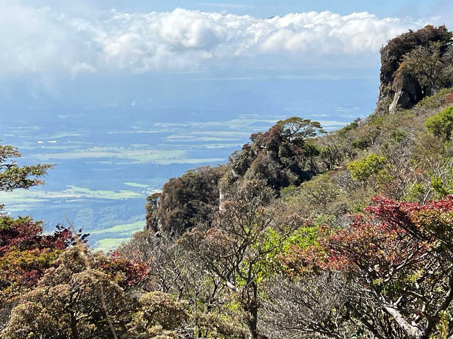 大船山 池窪登山口コースの写真