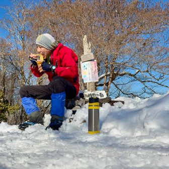 クセになるチーズカレー味