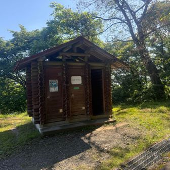 トイレは虫だらけで入る気にならない