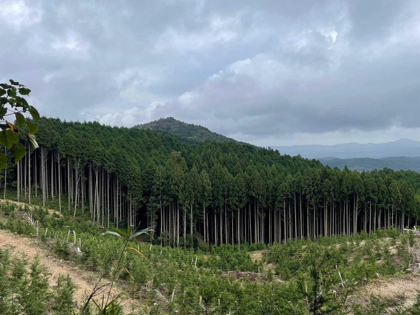 竪破山登山道入口-黒前神社二の鳥居-竪破山登山口-黒前神社 周回コースの写真