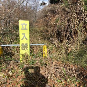 車道と山道を交互に通って行きます。
地味にキツい…😭