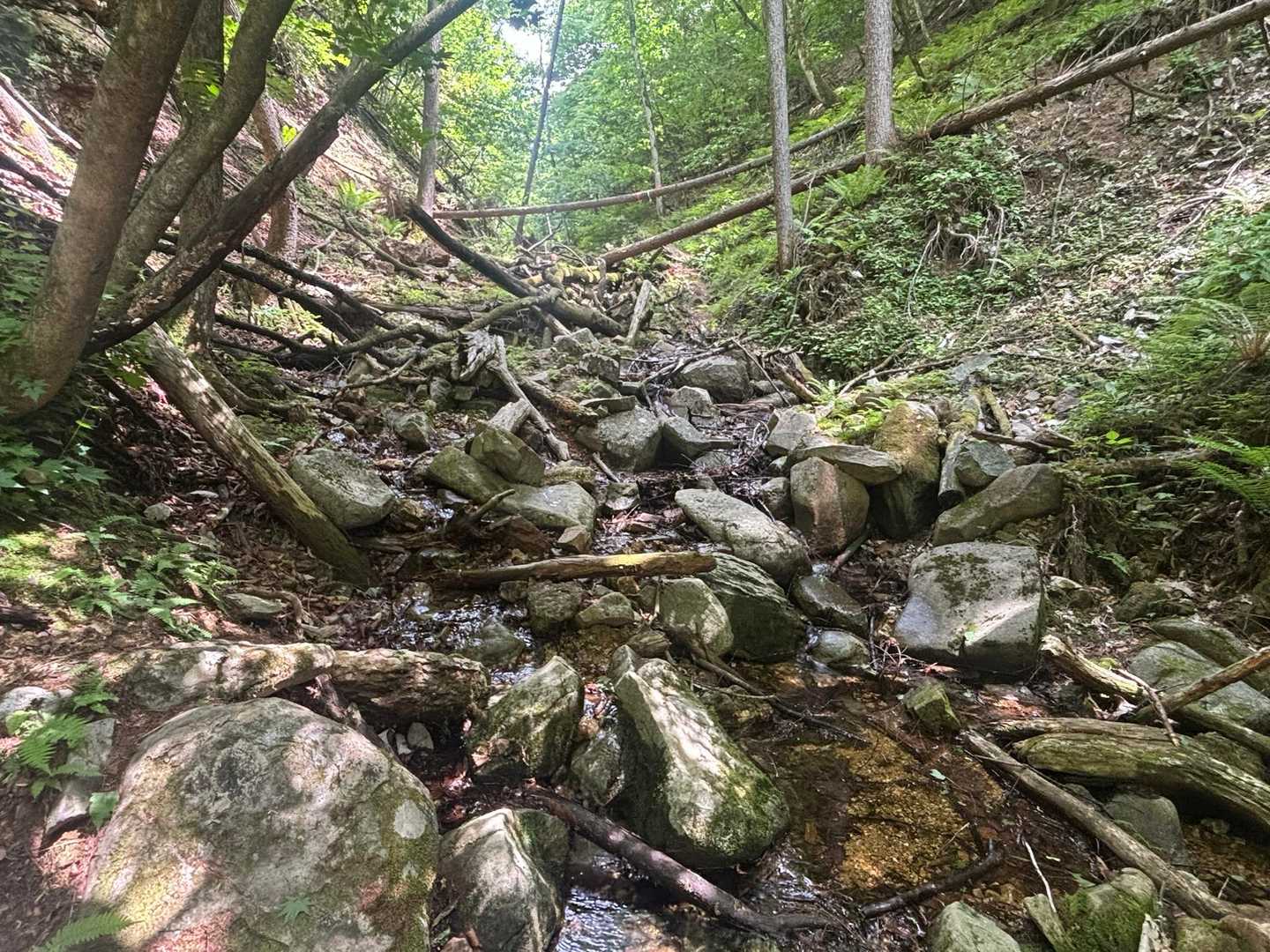 日本で海岸線から一番遠い地点-榊山 往復コースの写真
