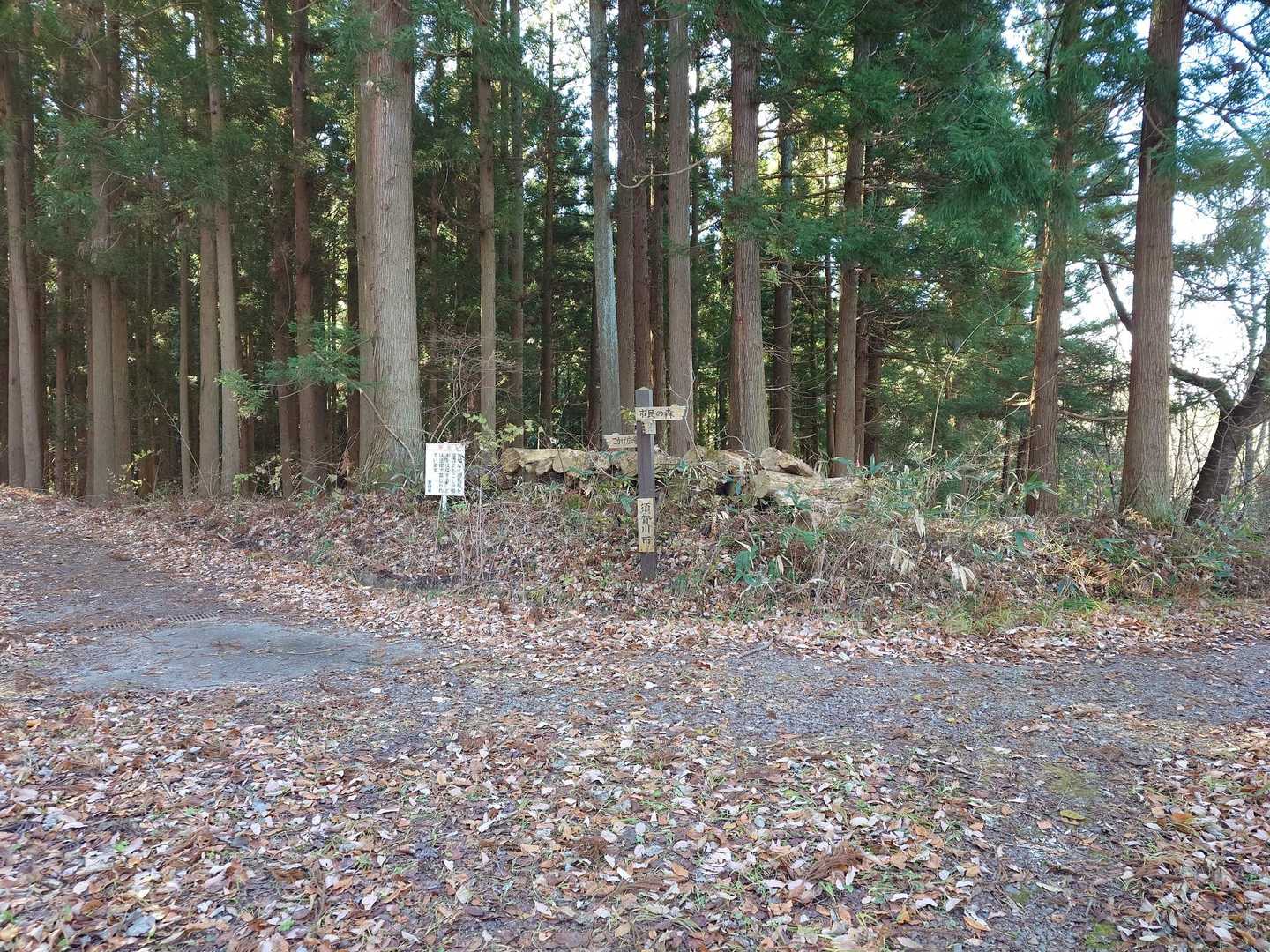 西音森山-宇津峰 周回コースの写真