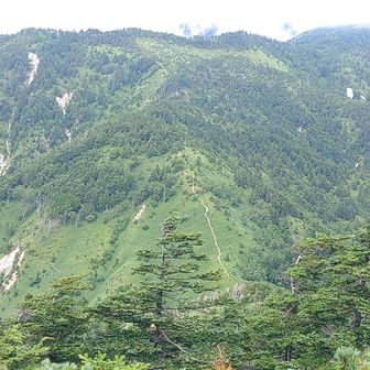 念丈岳山頂からは奥念丈岳に続くルートも見えてますが、夕方からゲリラ豪雨の予報もあるので奥念丈岳は諦めます

念丈岳から奥念丈岳方面は藪漕ぎになるそうですが、私はルート確認していないので不明です