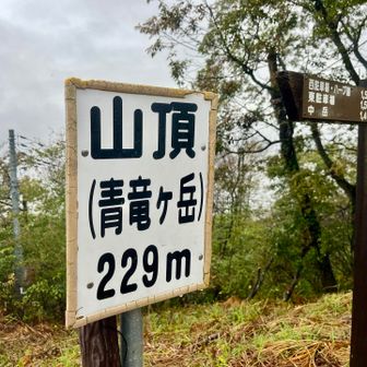 まぁ何やかんや登るよね

雨の三毳山は何度か経験あるが、傘差しスニーカースタイルは初でした😂