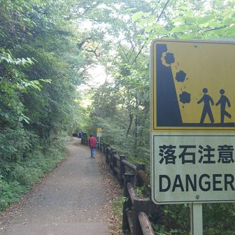 今のところ、落石なし😮‍💨
この林道に、下から軽自動車が巡回に。ひとりひとりに大丈夫か？と声をかけてました。ありがとうございます。