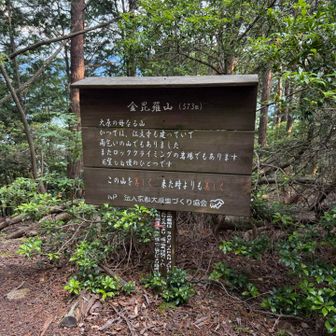 金毘羅山ピーク✨祠があります