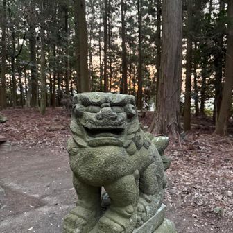 あれ、
丁度日の出🌅の時間⁉️