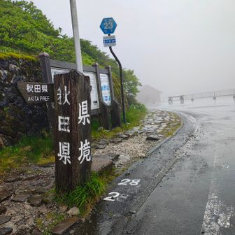 秋田☔🤣
