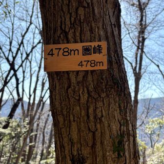 もひとつget⤴︎
と、浮かれて場合ではなかった💧