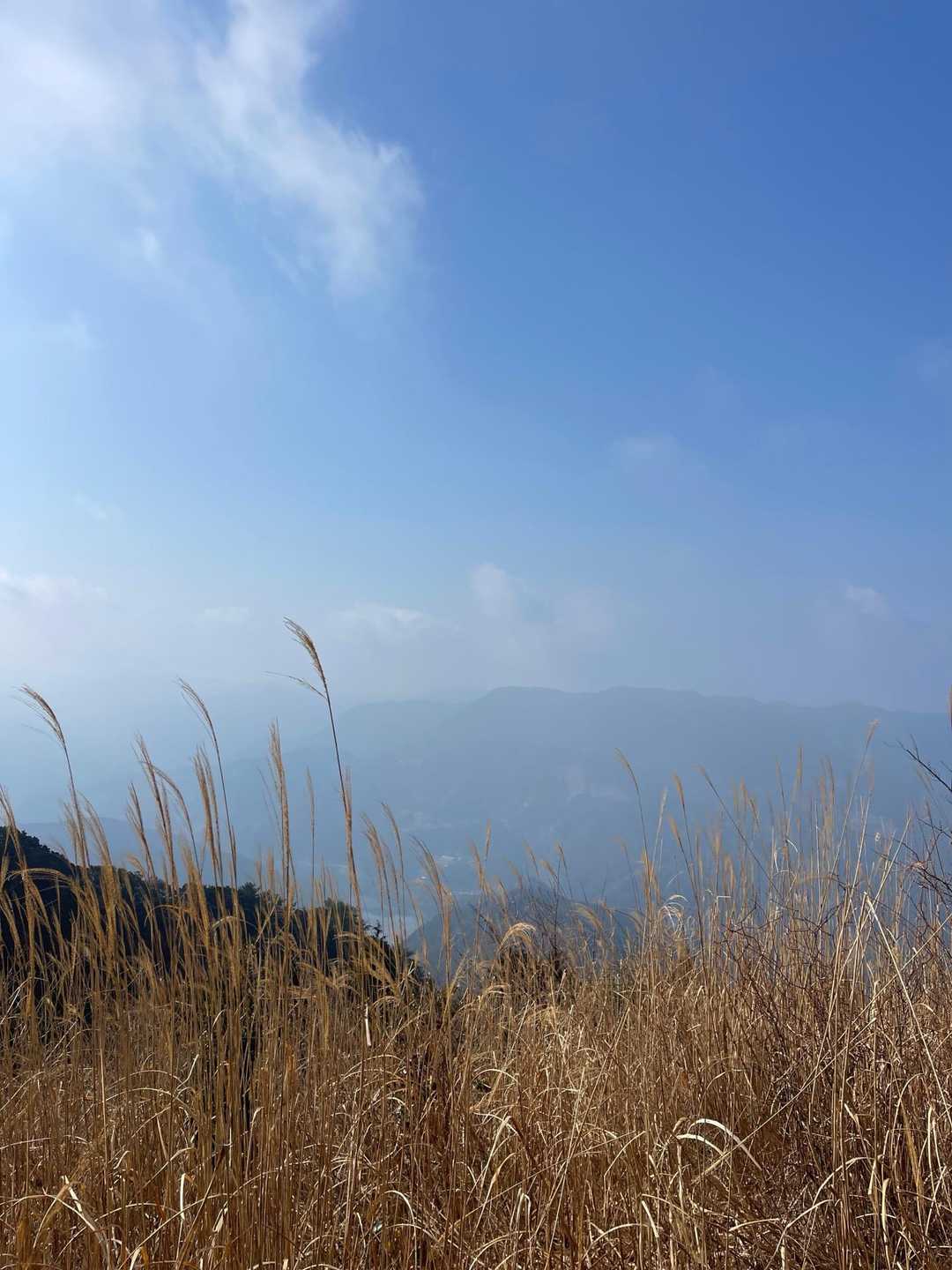 山頂からの眺め