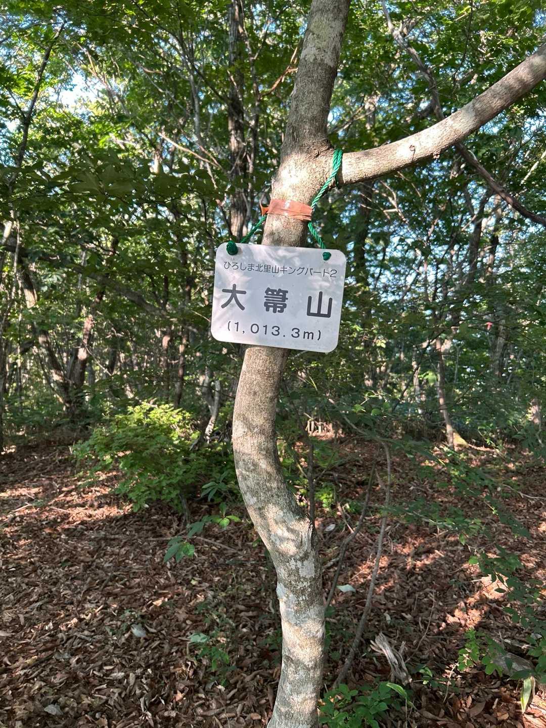里山キングパート2プレート🪧。
テンション上がります。⤴️
里山キングは、プレートと人物👤を一緒に撮影しないといけないルールが有るんですよ。