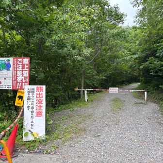 こんな感じ
