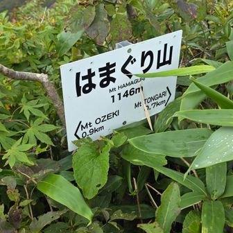はまぐり山！
1146ｍ！