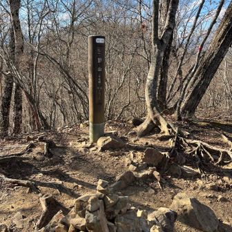 三頭山(中央峰)💪