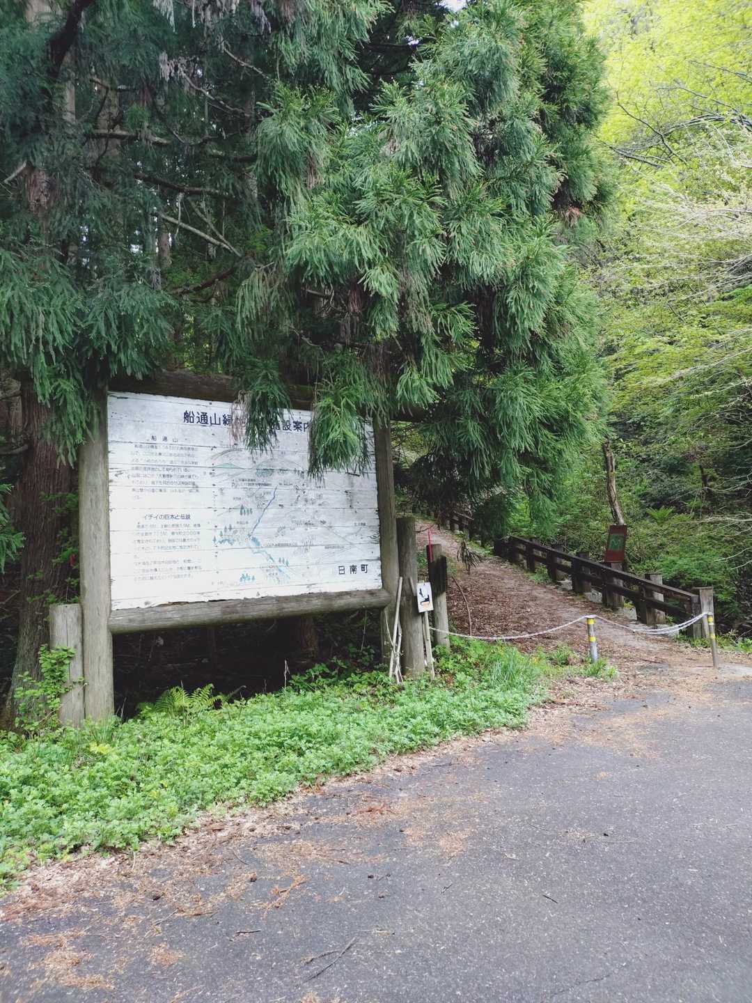 船通山 往復コースの写真