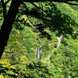 だいぶ下りての対岸に滝