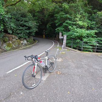 登山口。ここまで上がってくるのに、一苦労でした。疲れたので今日は山頂まで行くのをやめようかと思ったくらいでした。